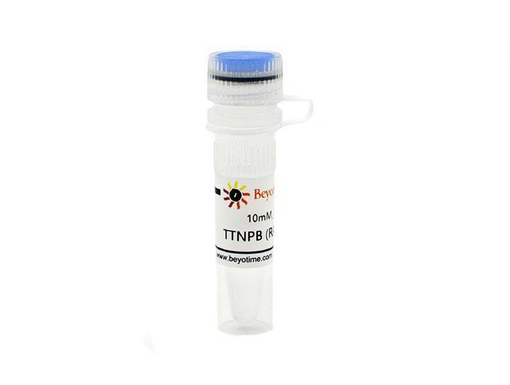 TTNPB (RAP激动剂)